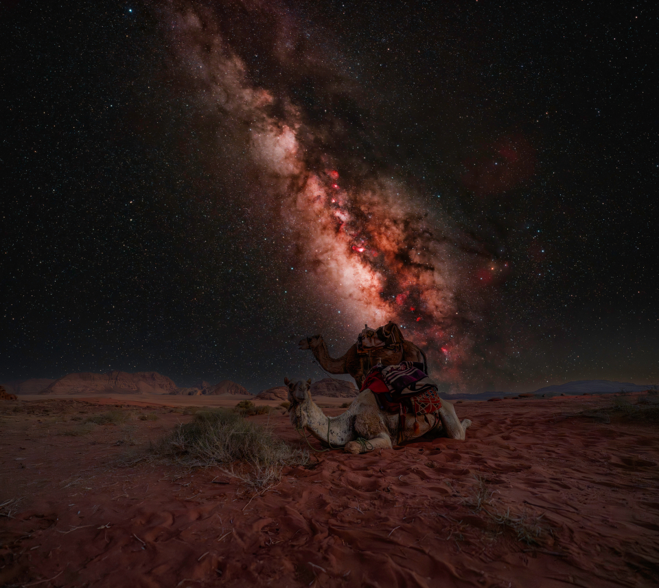 From the Sand to the Stars: Anatomy of a Desert Night Shot