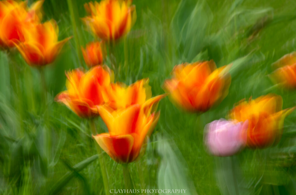 clayhaus-_CLA1225-Edit