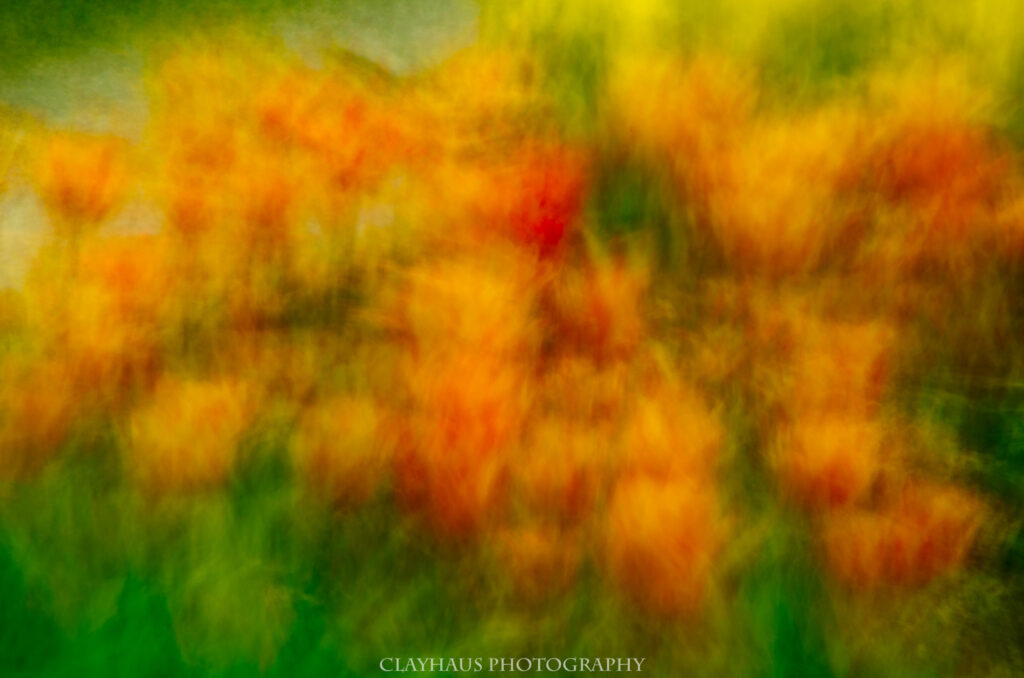 clayhaus-IMGP1485-Edit
