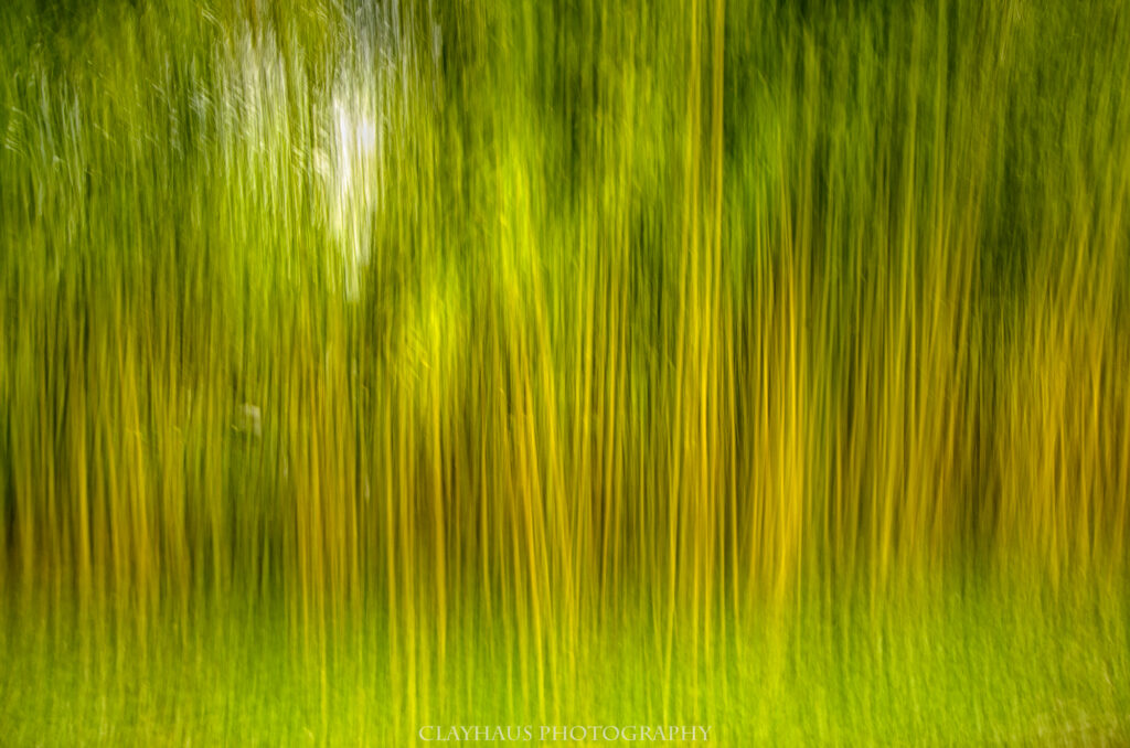 clayhaus-IMGP1543-Edit-Edit