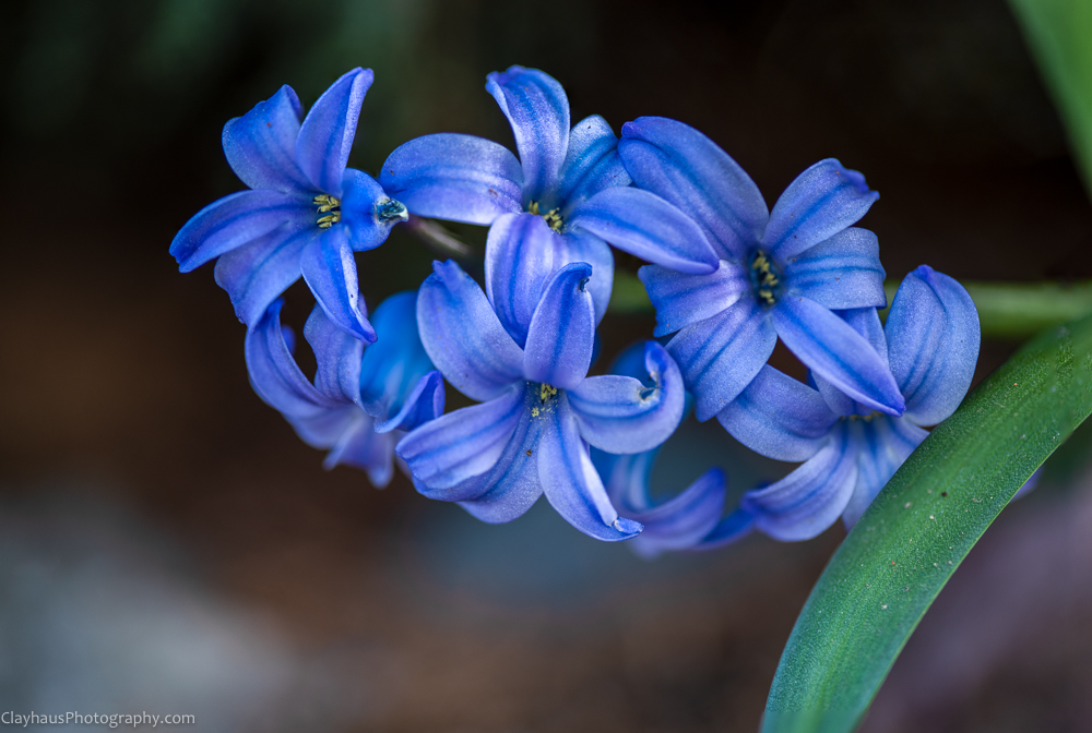 ClayhausPhotography-CLAY0781-Edit