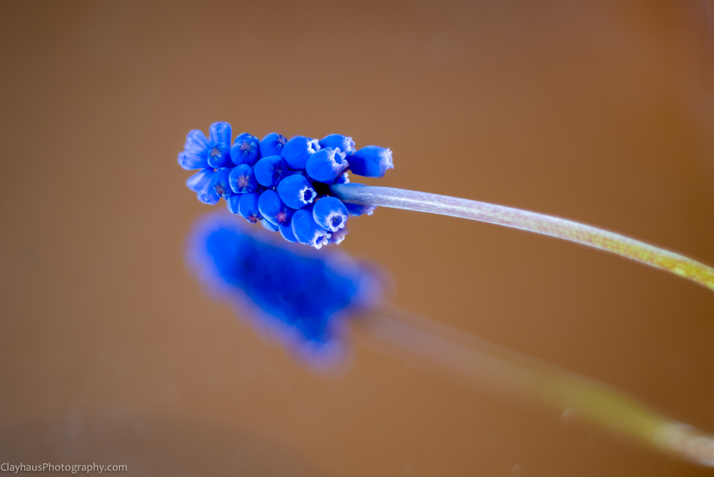 ClayhausPhotography-CLAY1006-10-Edit-fs5