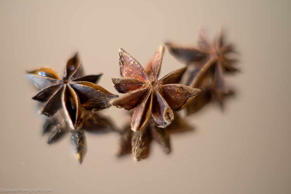 ClayhausPhotography-CLAY1070-74-Edit-fs5