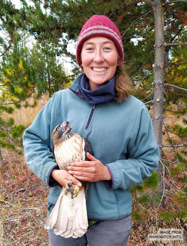 Hawkwatch-Elly_McManus-999px-2